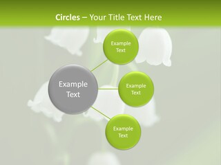 Natural Delicious Salt PowerPoint Template