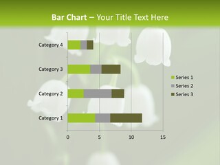 Natural Delicious Salt PowerPoint Template
