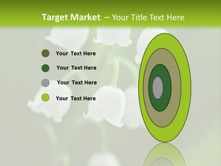 Natural Delicious Salt PowerPoint Template