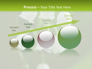 Natural Delicious Salt PowerPoint Template