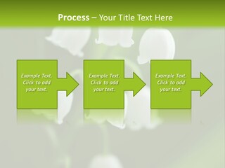 Natural Delicious Salt PowerPoint Template