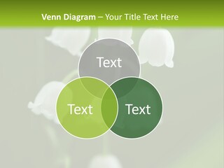 Natural Delicious Salt PowerPoint Template