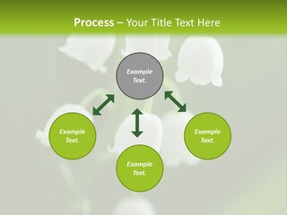 Natural Delicious Salt PowerPoint Template