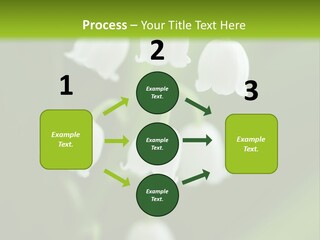 Natural Delicious Salt PowerPoint Template