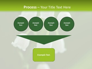 Natural Delicious Salt PowerPoint Template