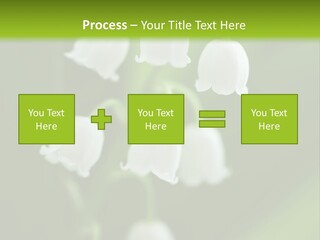 Natural Delicious Salt PowerPoint Template