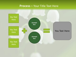 Natural Delicious Salt PowerPoint Template