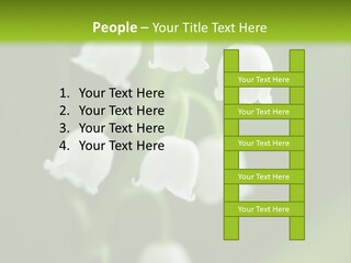 Natural Delicious Salt PowerPoint Template