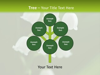 Natural Delicious Salt PowerPoint Template