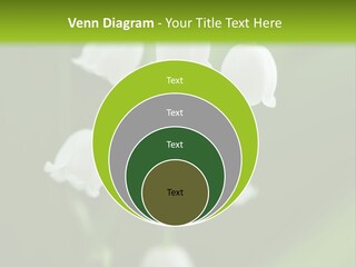 Natural Delicious Salt PowerPoint Template
