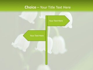 Natural Delicious Salt PowerPoint Template