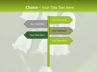 Natural Delicious Salt PowerPoint Template