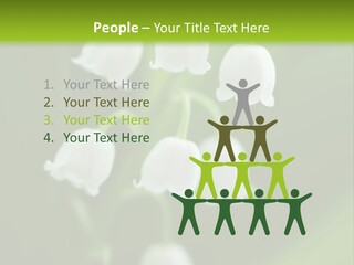 Natural Delicious Salt PowerPoint Template