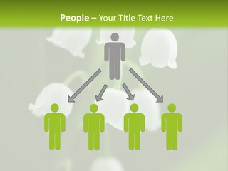 Natural Delicious Salt PowerPoint Template