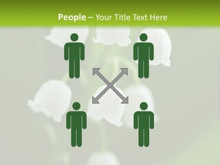 Natural Delicious Salt PowerPoint Template