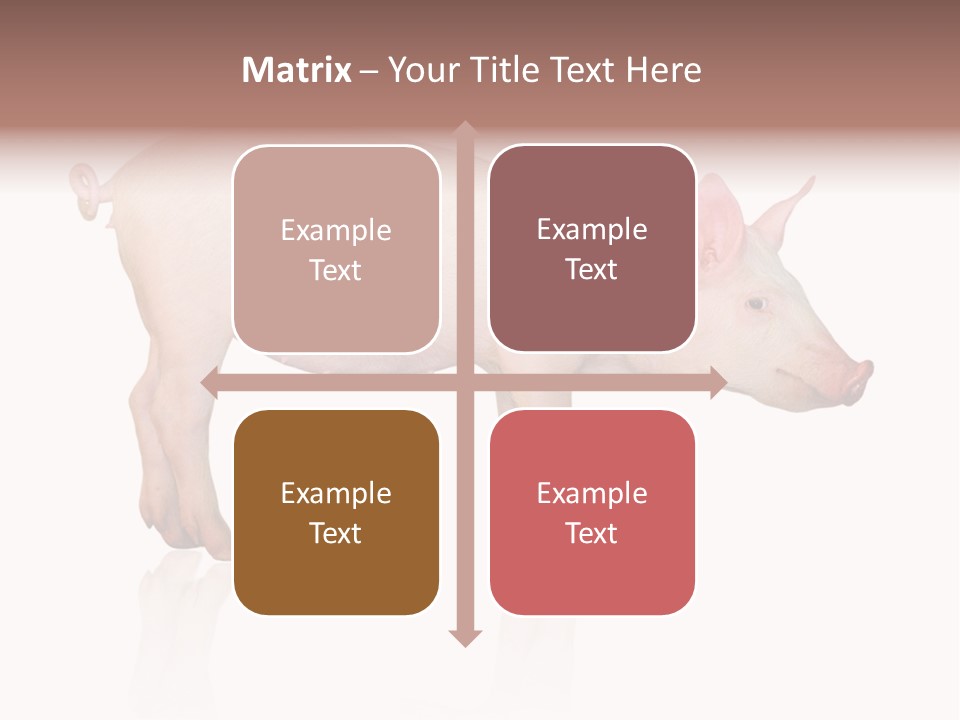 Meat Ear Side PowerPoint Template