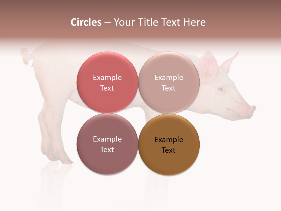 Meat Ear Side PowerPoint Template