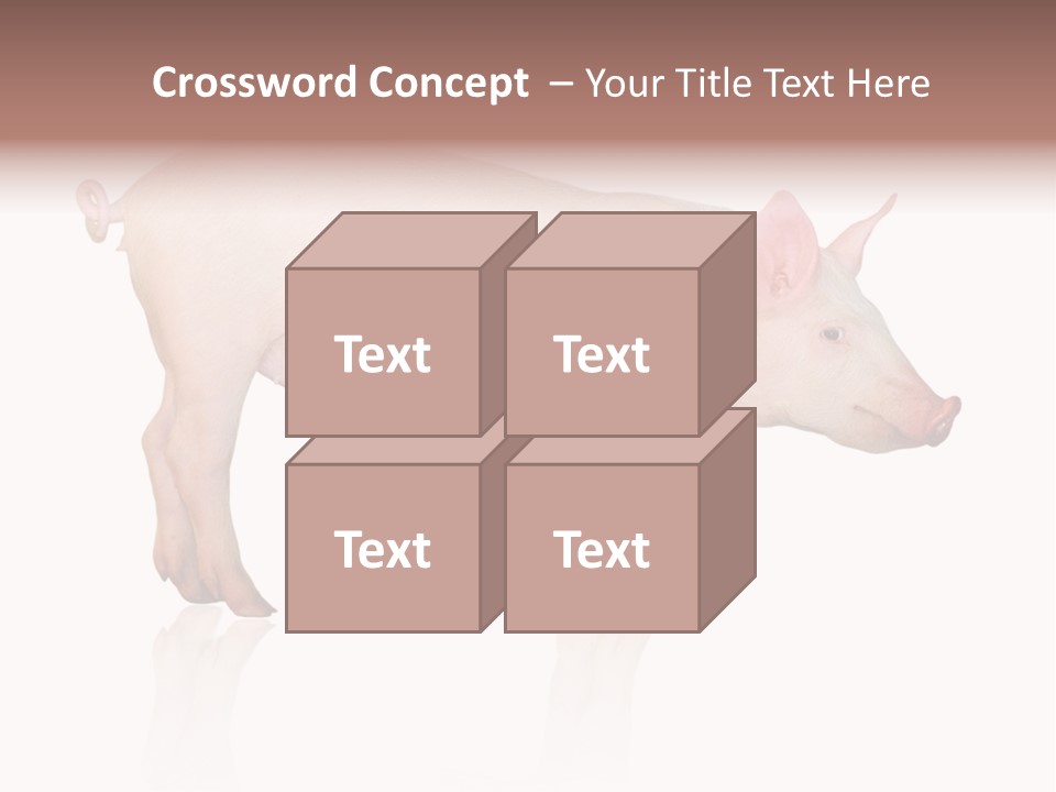 Meat Ear Side PowerPoint Template