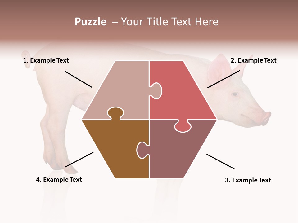 Meat Ear Side PowerPoint Template