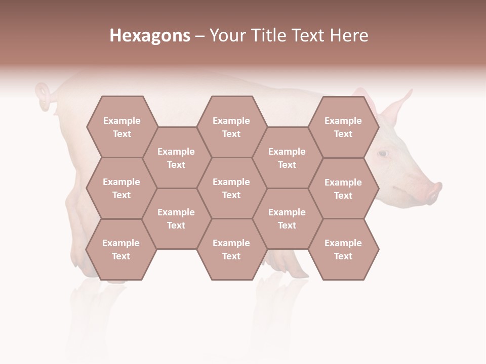 Meat Ear Side PowerPoint Template