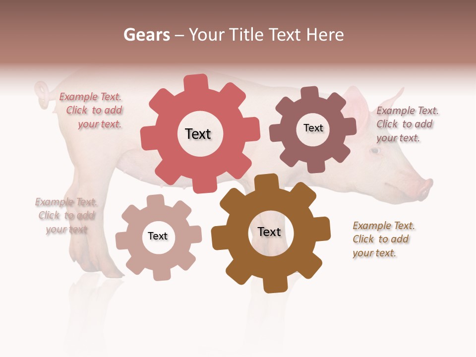 Meat Ear Side PowerPoint Template