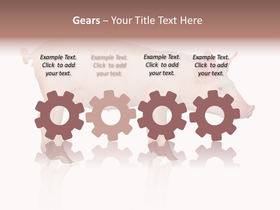 Meat Ear Side PowerPoint Template