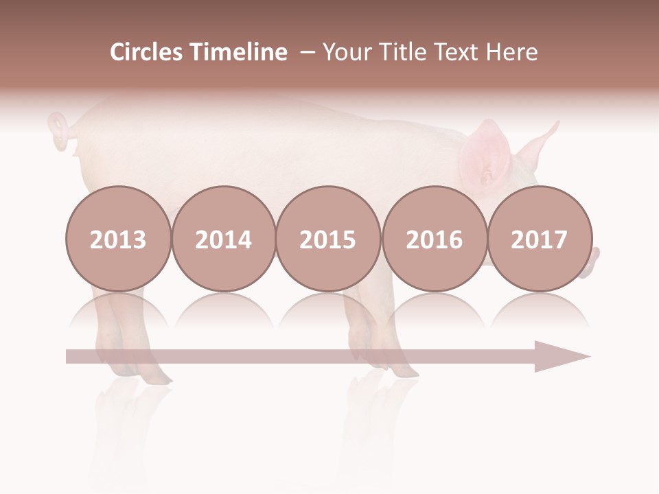 Meat Ear Side PowerPoint Template