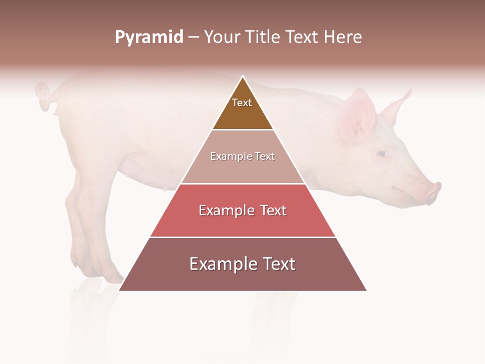 Meat Ear Side PowerPoint Template