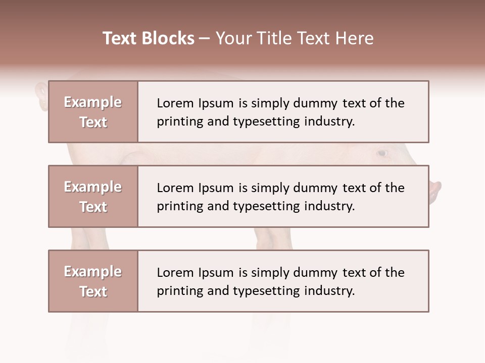 Meat Ear Side PowerPoint Template
