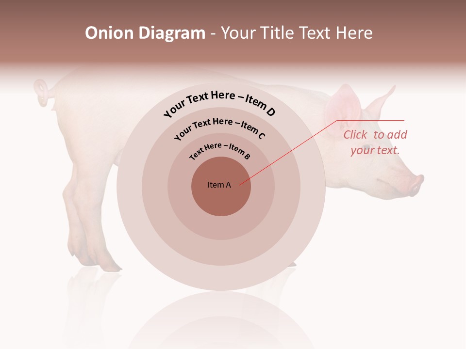 Meat Ear Side PowerPoint Template