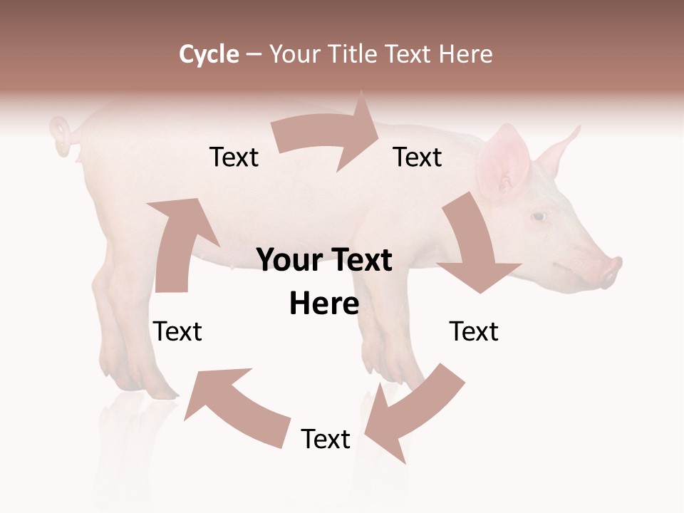 Meat Ear Side PowerPoint Template