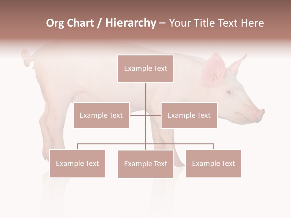 Meat Ear Side PowerPoint Template