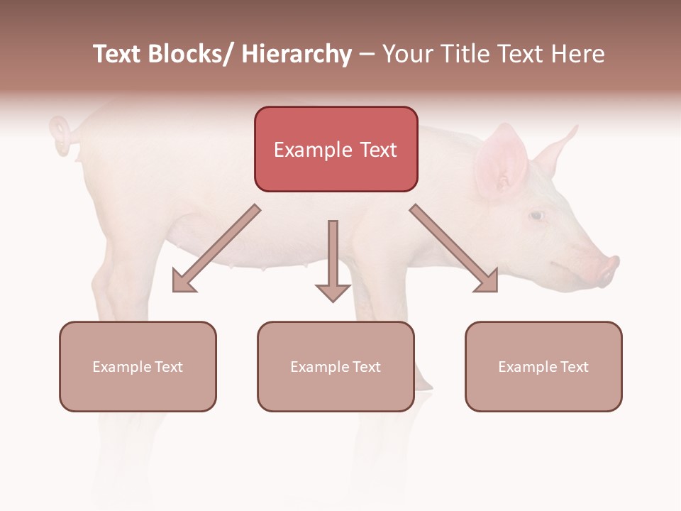 Meat Ear Side PowerPoint Template