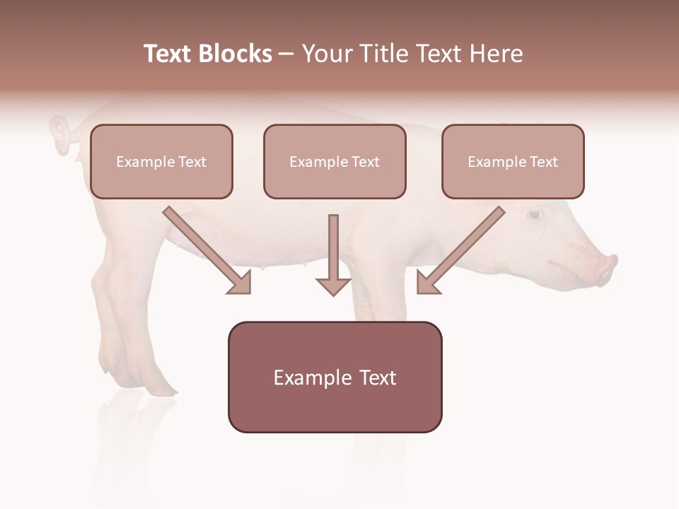 Meat Ear Side PowerPoint Template