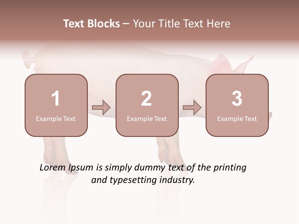 Meat Ear Side PowerPoint Template