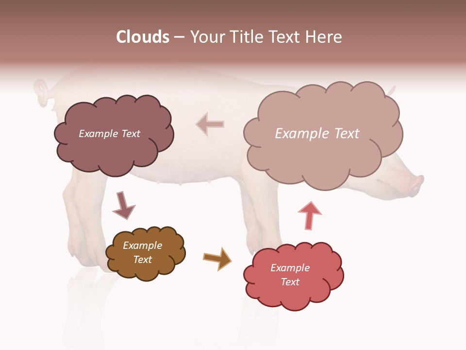 Meat Ear Side PowerPoint Template