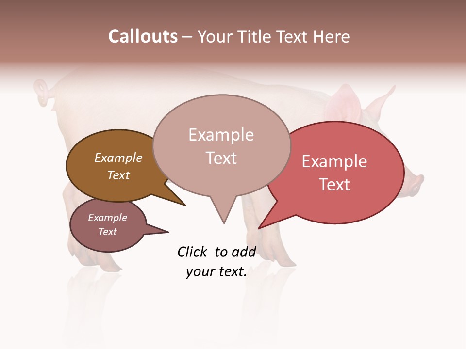 Meat Ear Side PowerPoint Template