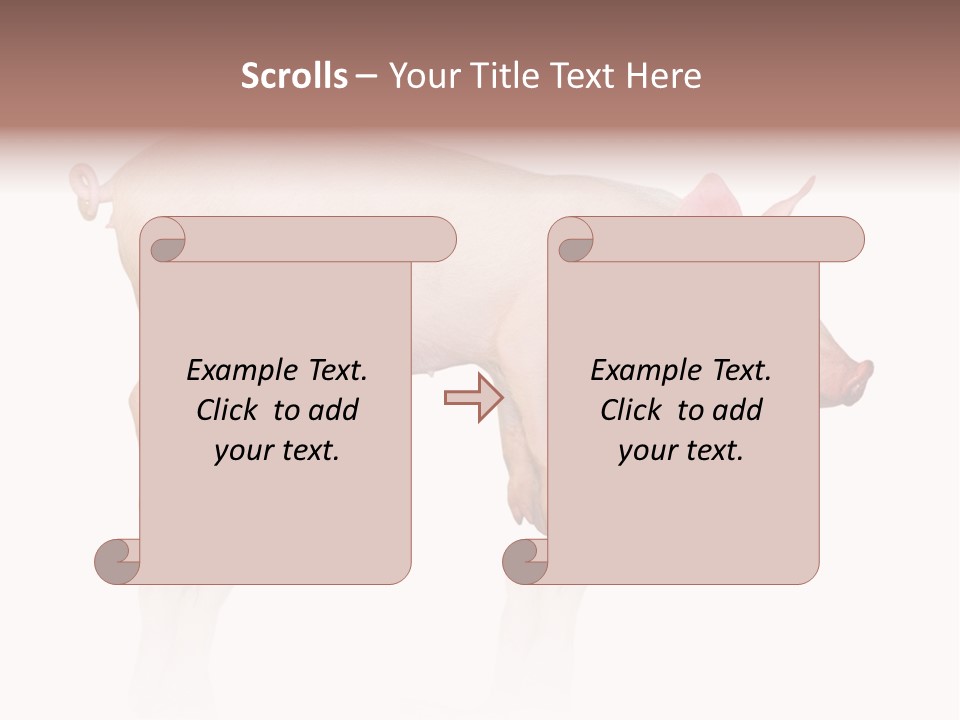 Meat Ear Side PowerPoint Template