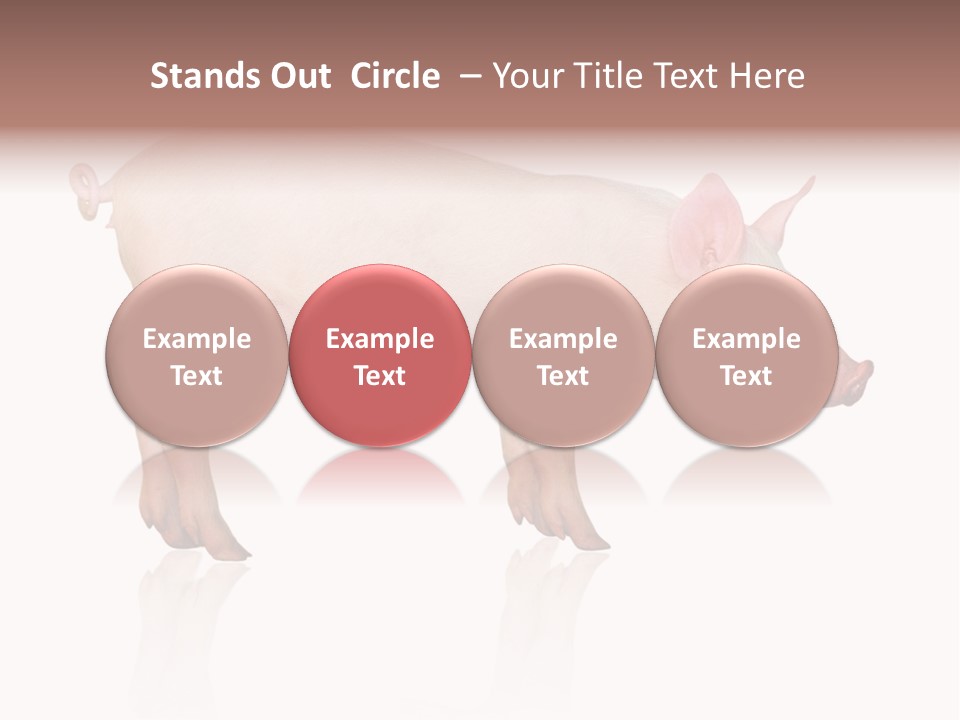 Meat Ear Side PowerPoint Template