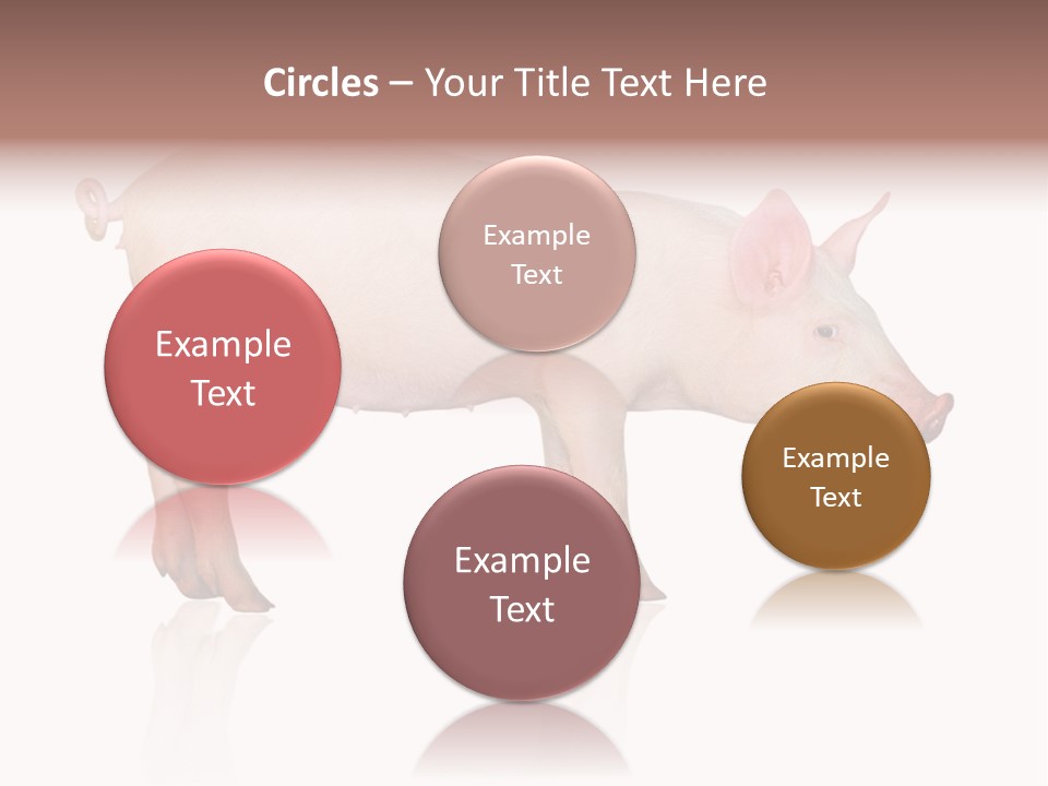 Meat Ear Side PowerPoint Template