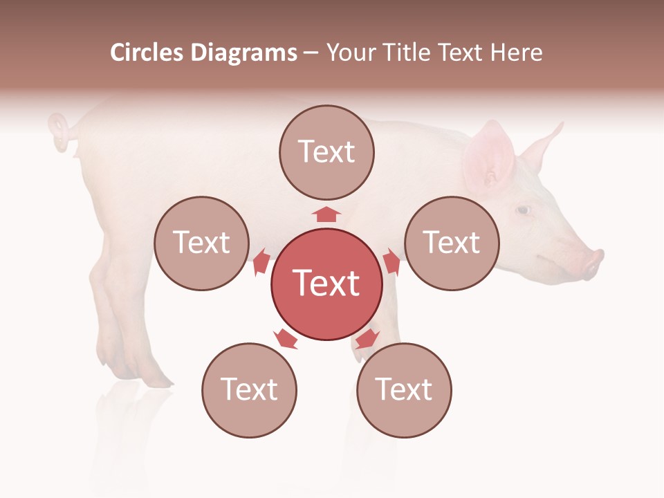 Meat Ear Side PowerPoint Template