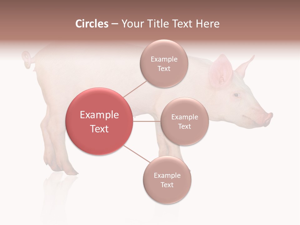 Meat Ear Side PowerPoint Template