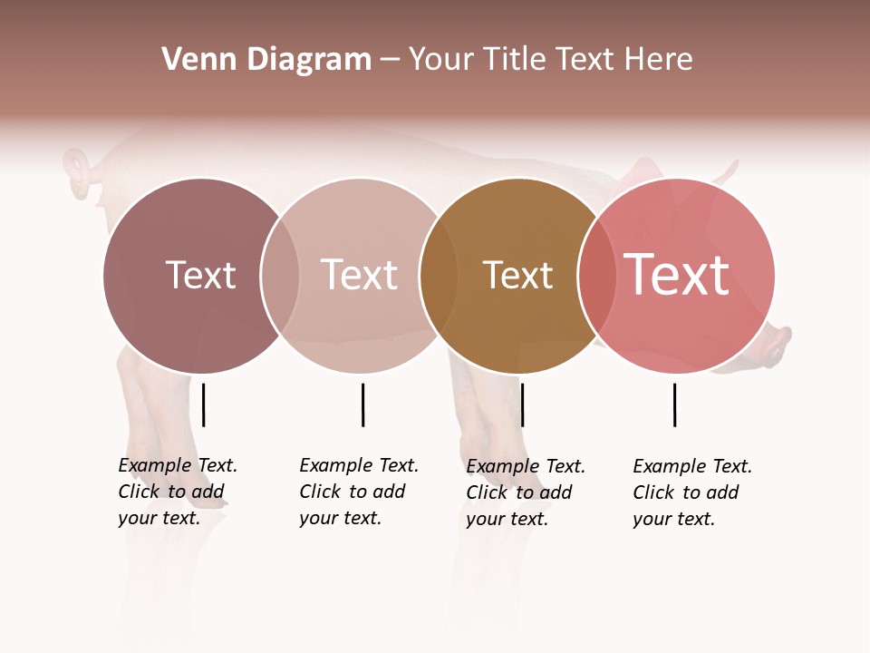Meat Ear Side PowerPoint Template