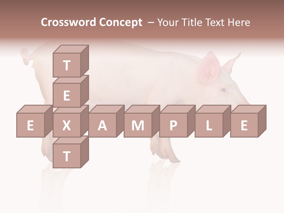 Meat Ear Side PowerPoint Template