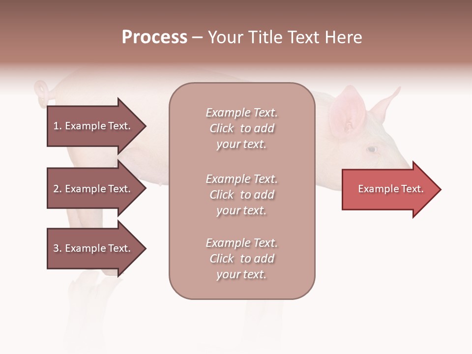 Meat Ear Side PowerPoint Template