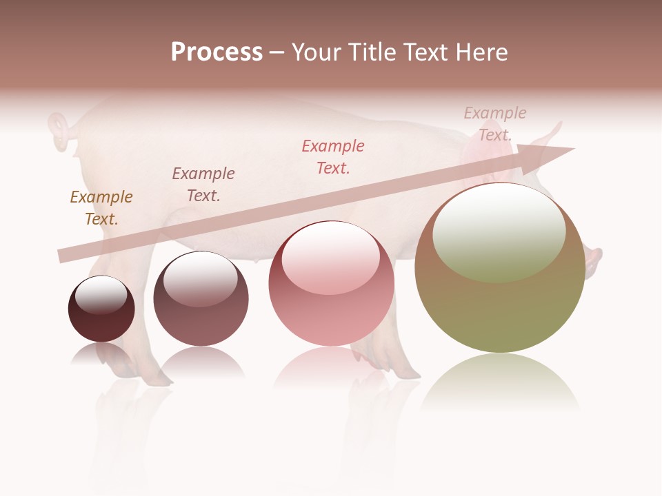 Meat Ear Side PowerPoint Template
