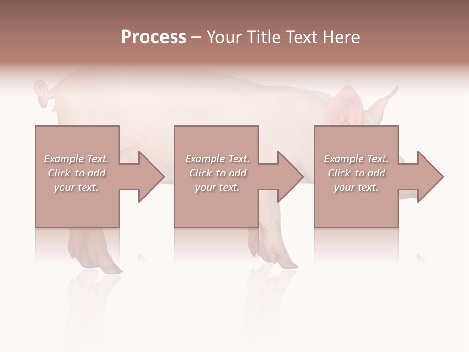 Meat Ear Side PowerPoint Template