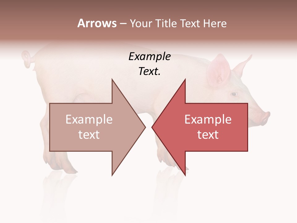 Meat Ear Side PowerPoint Template