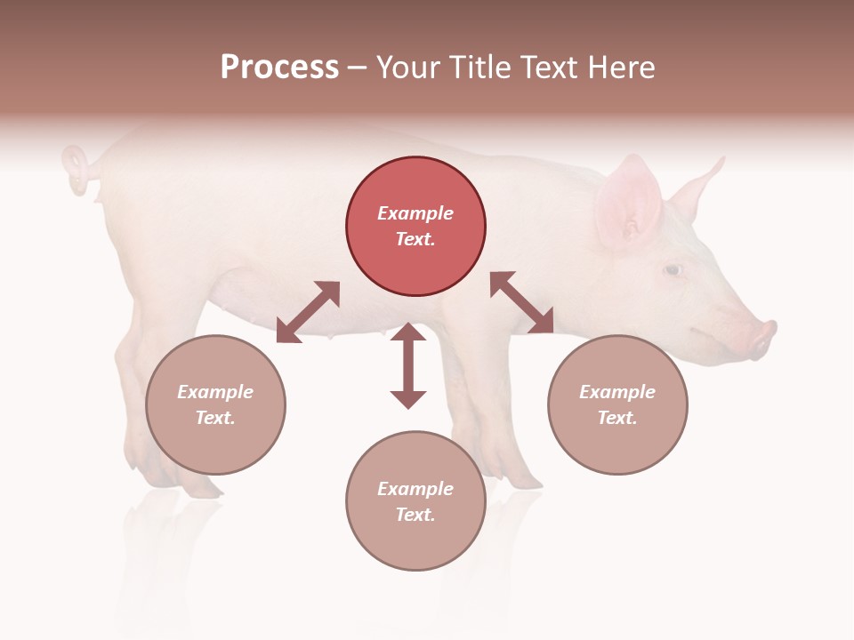 Meat Ear Side PowerPoint Template