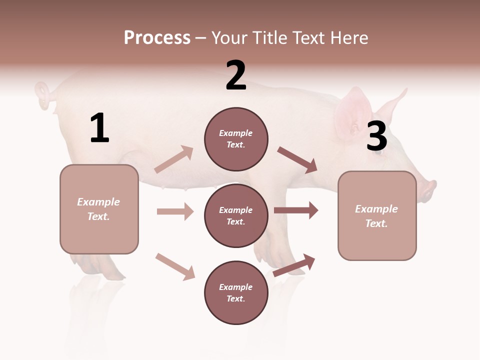 Meat Ear Side PowerPoint Template